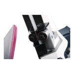 Serra de Fita Portátil de Esquadria Optimum SP 13V – Potência, Precisão e Durabilidade - Image 3