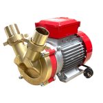 Bomba de Transfega Rover Pompe 2", 3HP, 15000 L/h – Autoescorvante com Duplo Sentido de Rotação